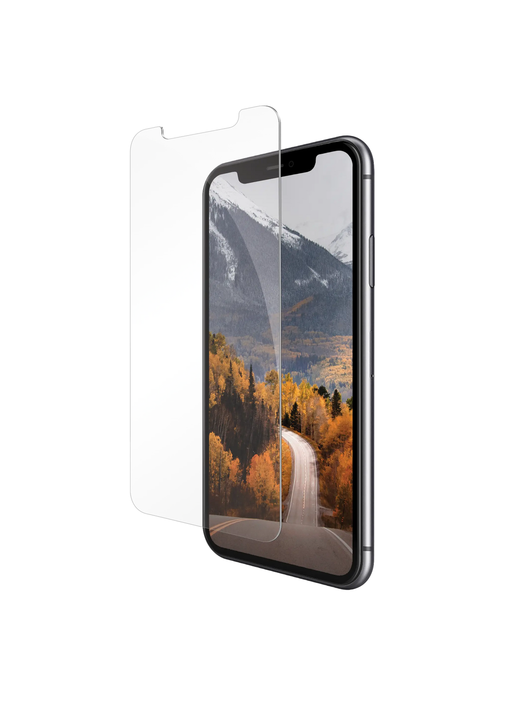 eco-protect - iPhone 11/XR - Klar