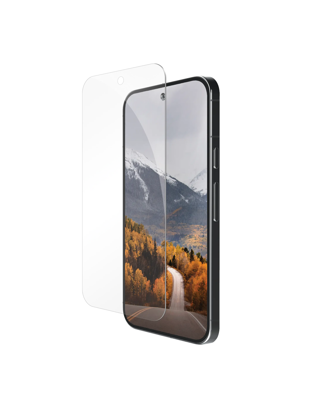 eco-protect - Google Pixel 9 / 9 Pro - Klar