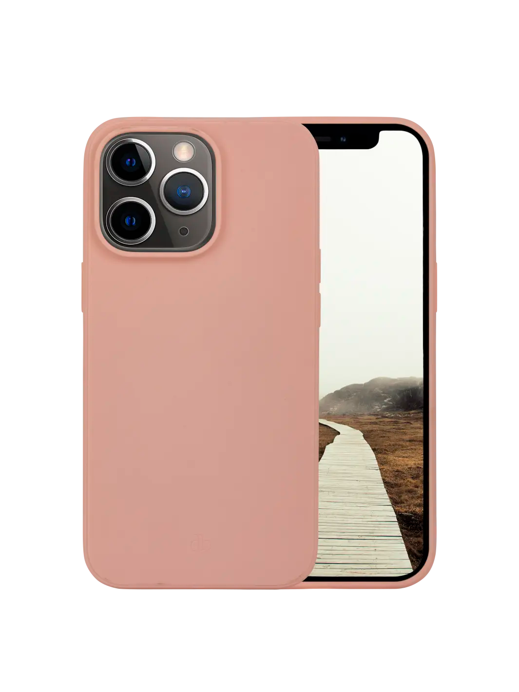 Greenland Pink Sand iPhone 12 12 Pro Phone Cases