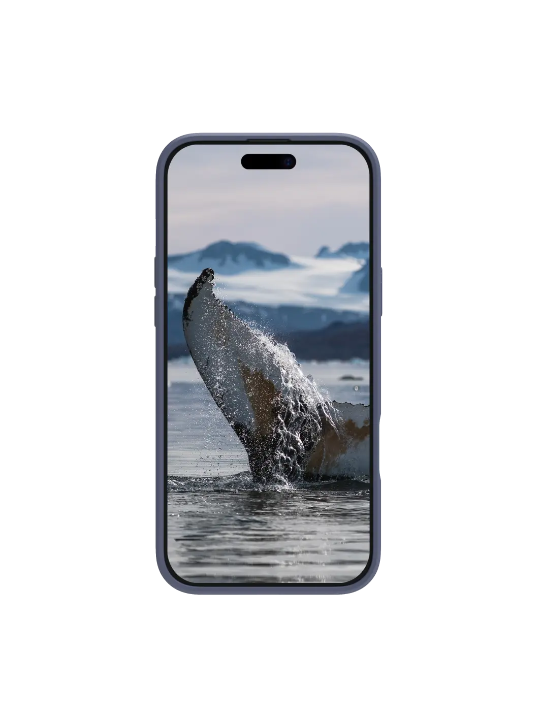 Greenland Pro MagSafe - iPhone 16e/15/14/13 - Pacific Blue Phone Case
