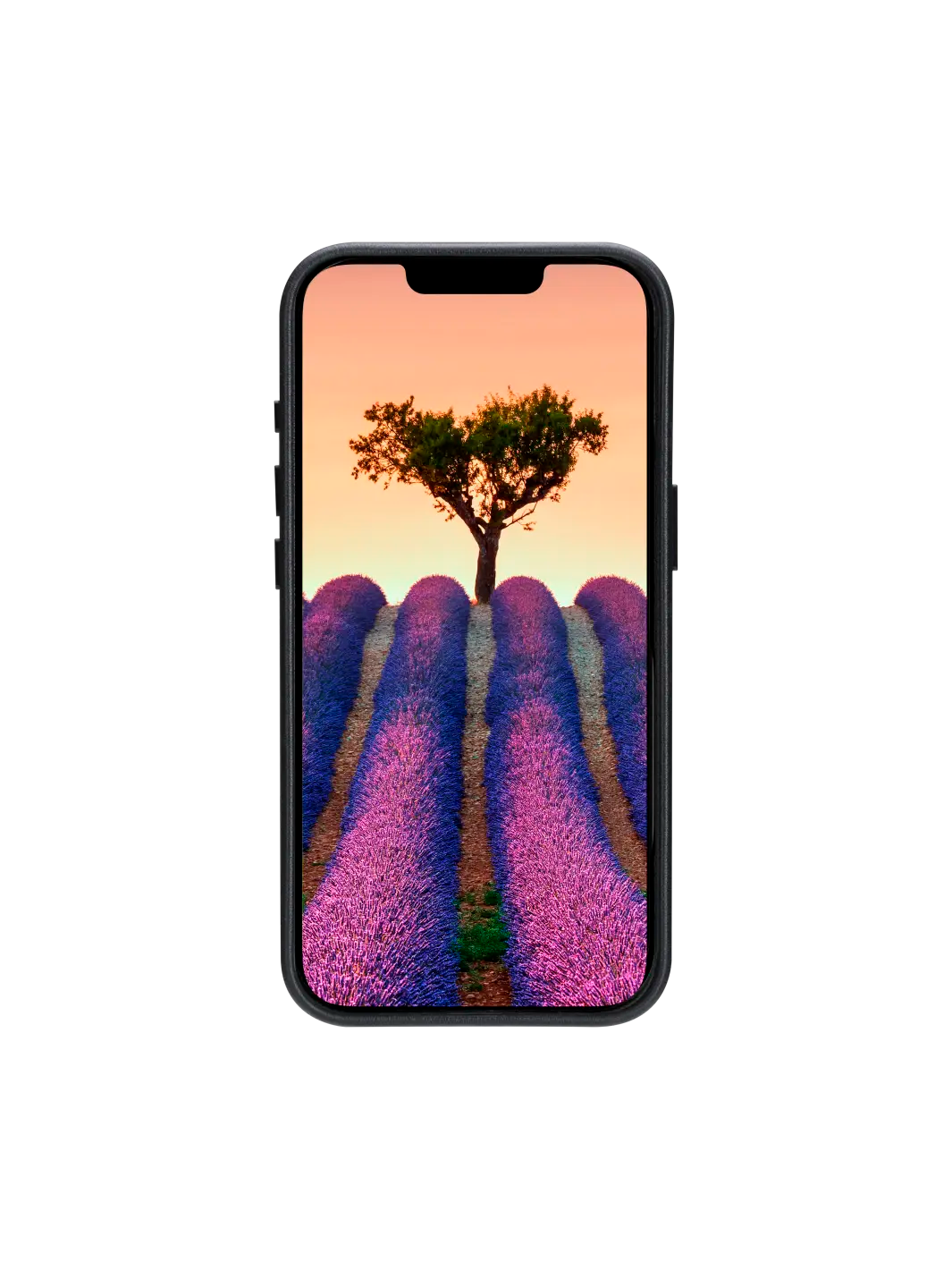 Roskilde - iPhone 16e - Black Phone Case