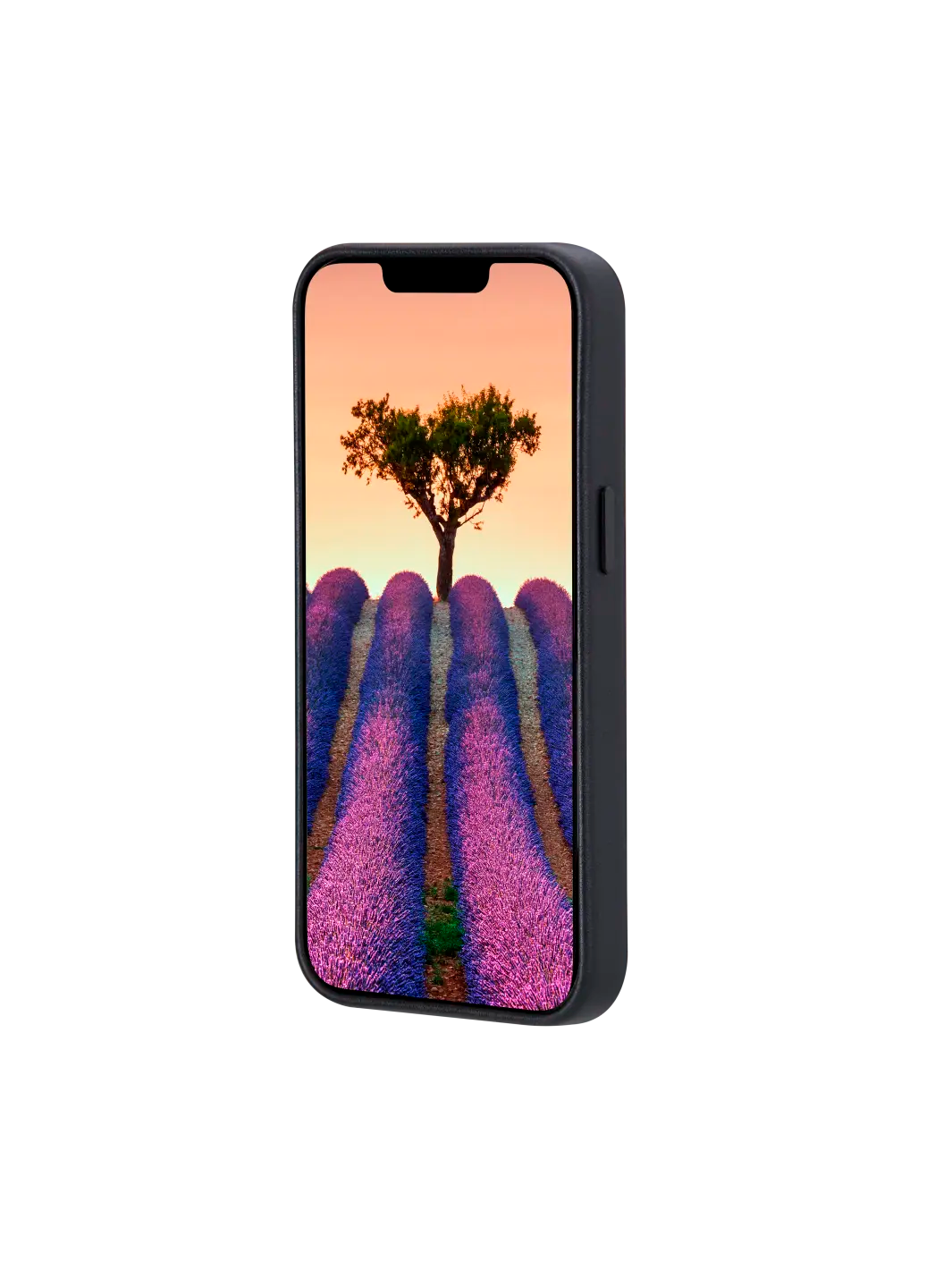 Roskilde - iPhone 16e - Black Phone Case
