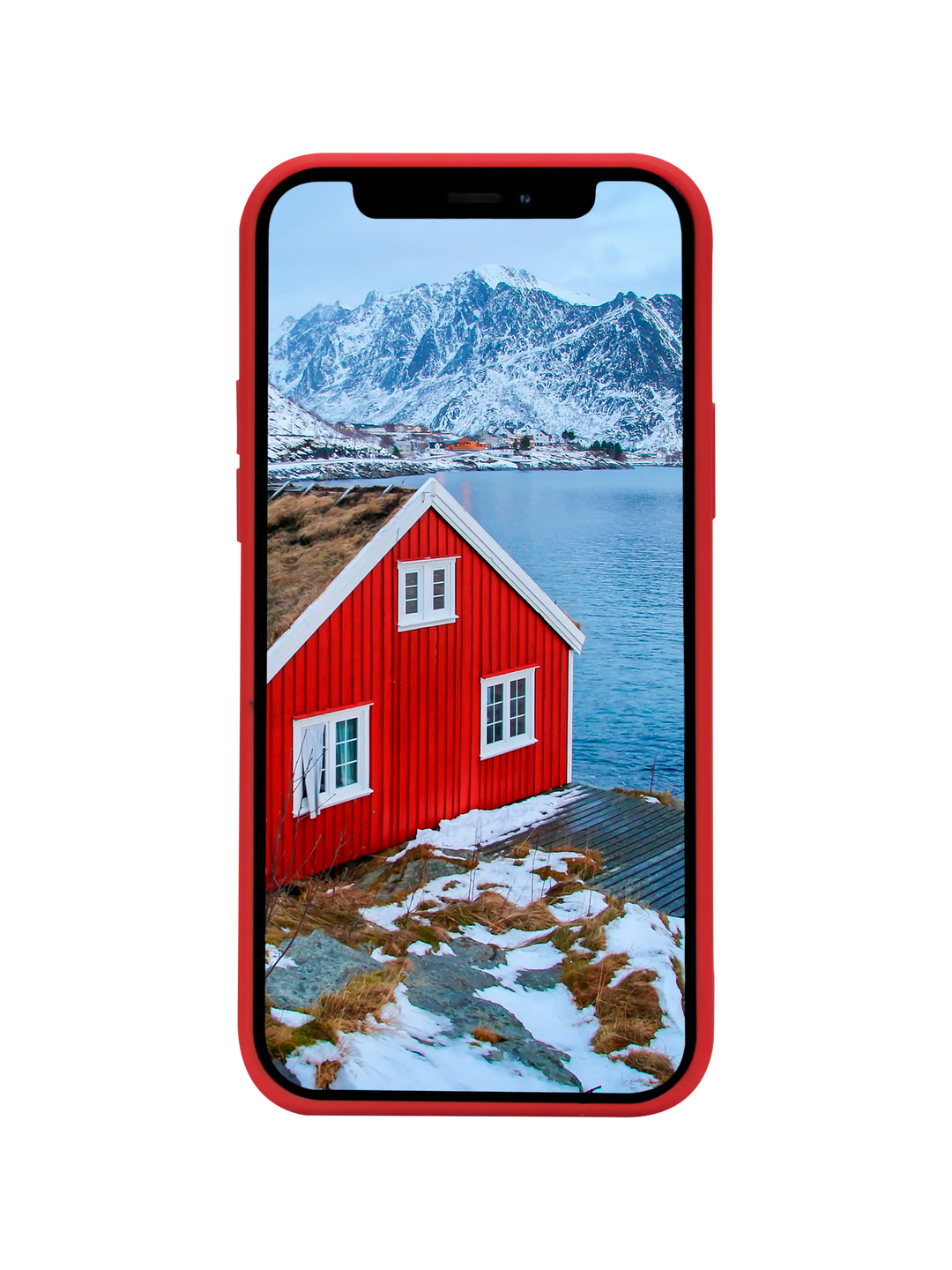 Greenland - iPhone 11/XR - Candy Apple Rot