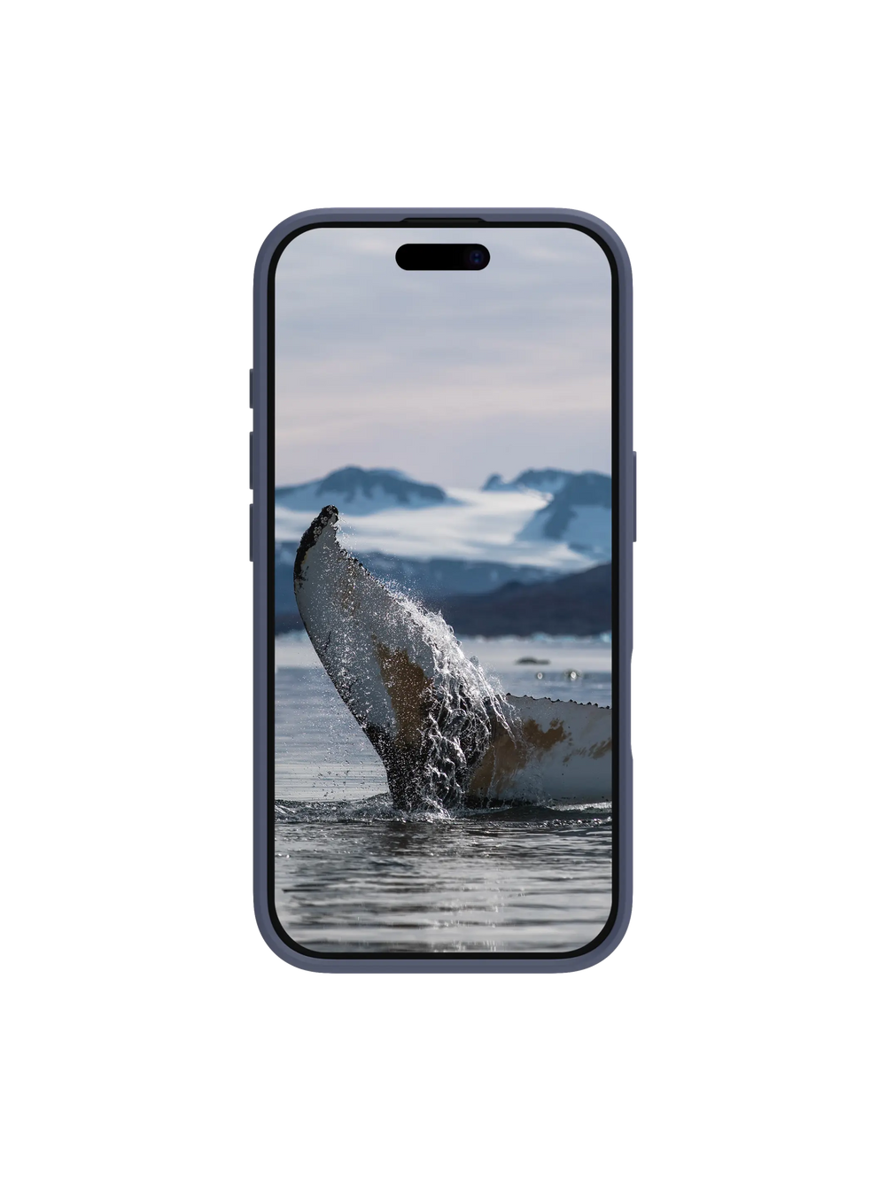Greenland - iPhone 16 Pro - Pacific Blue Phone Case