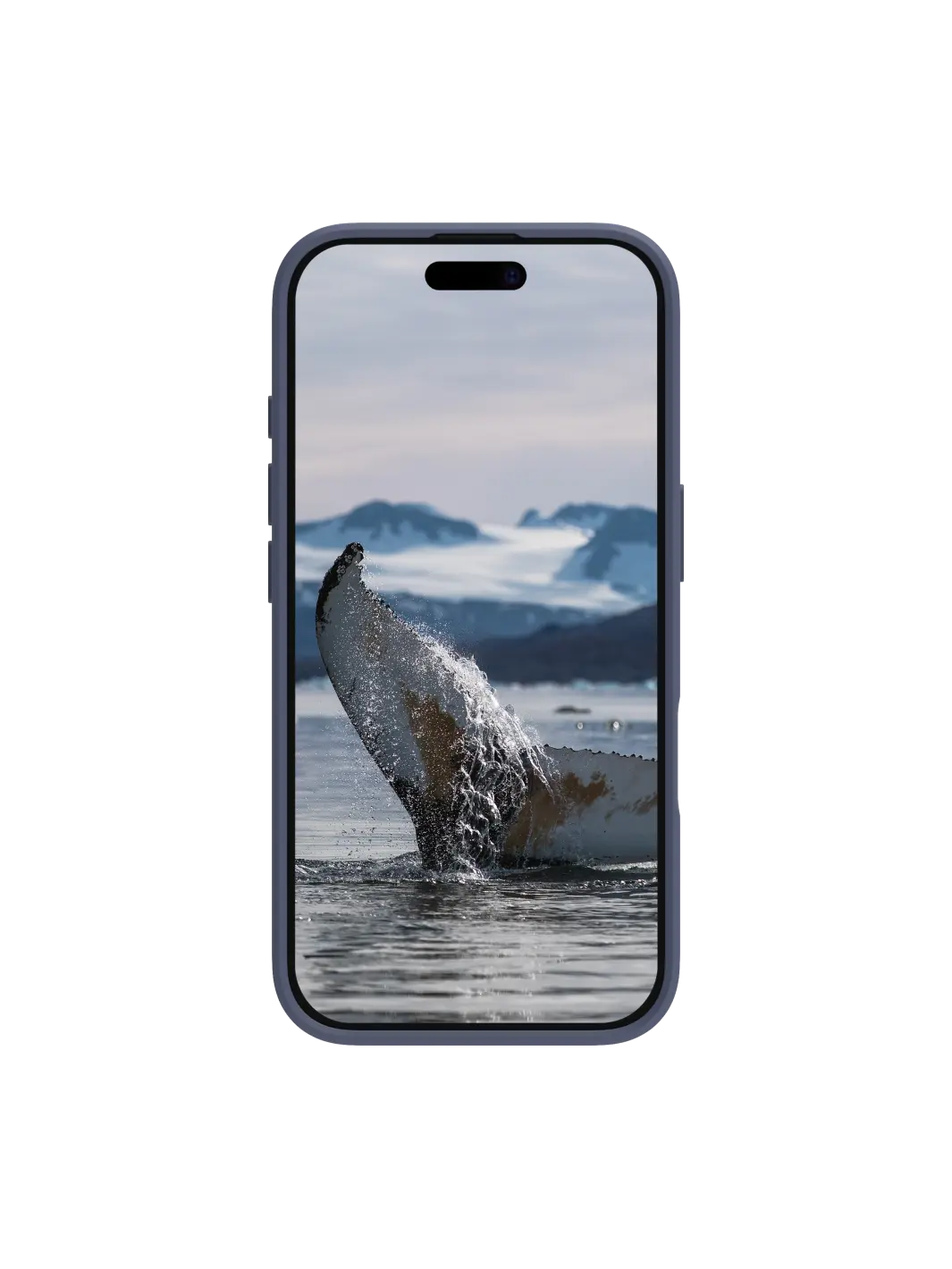 Greenland - iPhone 16 - Pacific Blue