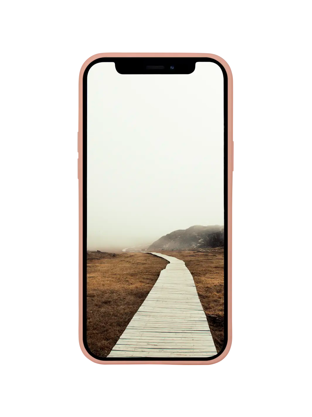 Greenland - iPhone 13 Pro Max - Rosa Sand