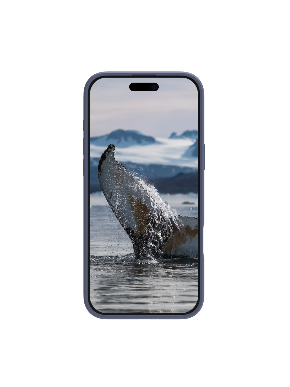 Greenland Pro MagSafe - iPhone 16 Plus - Pacific Blue Phone Case