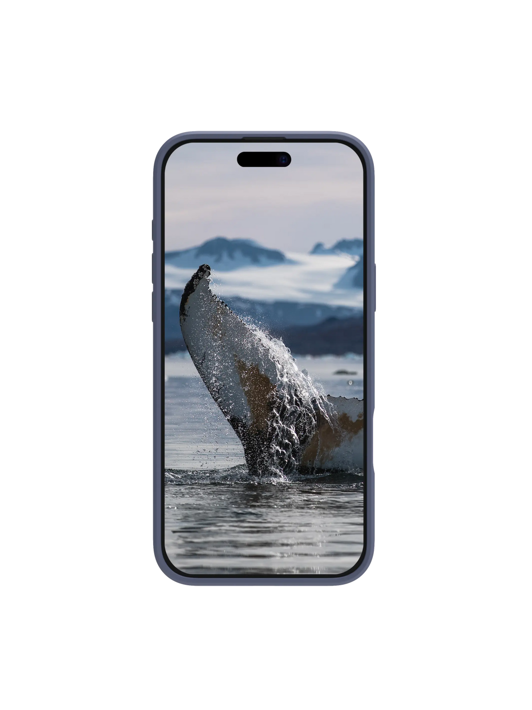 Greenland Pro MagSafe/Qi Clear iPhone 16 Pro Phone Case