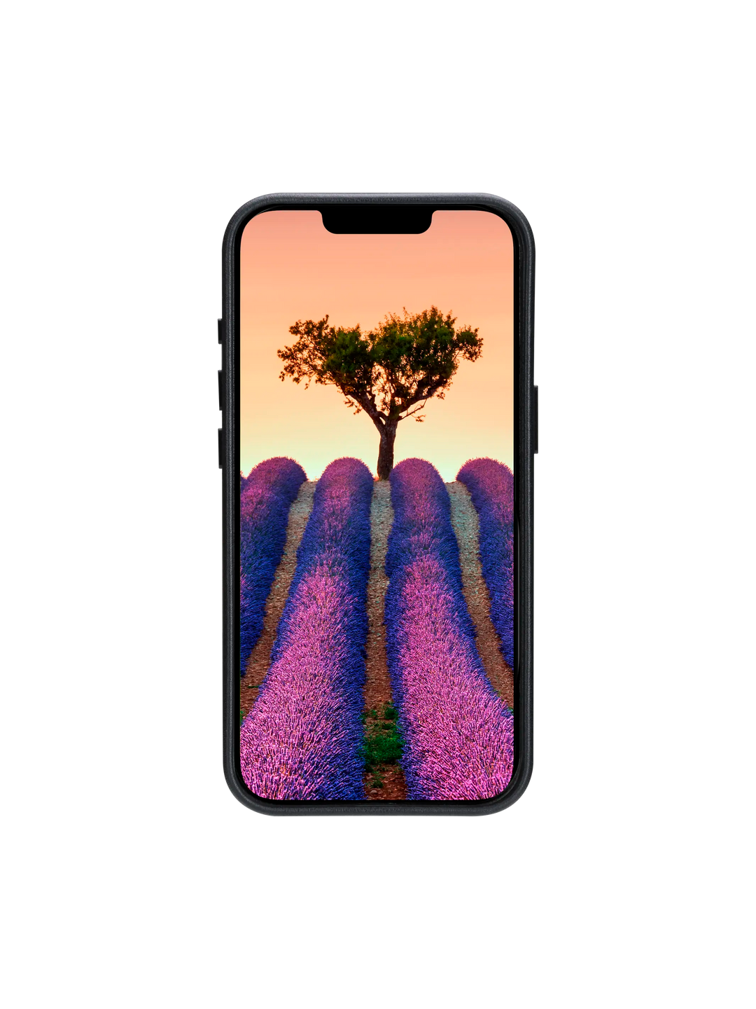 Roskilde - iPhone 16e - Schwarz