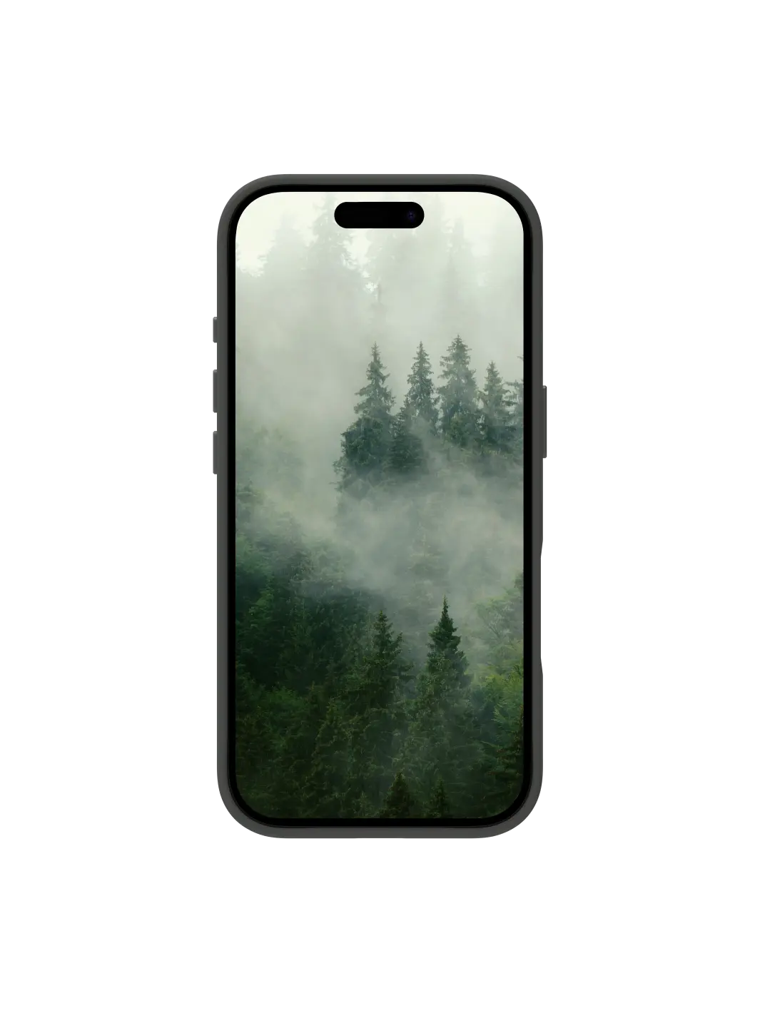 Roskilde MagSafe Kickstand ICON - iPhone 17 - Forest Shadow Phone Case