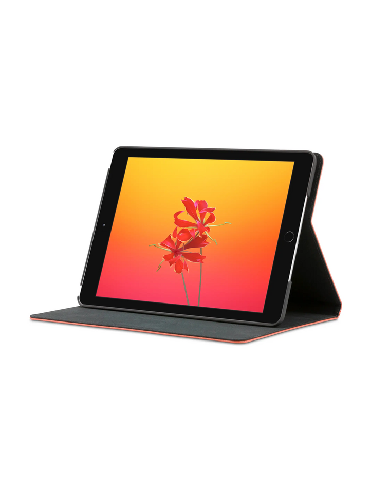 Tokyo - iPad (2017/2018) - Rusty Rose