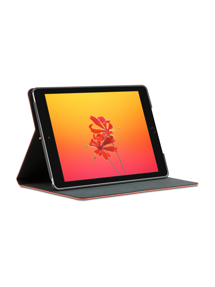 Tokyo - iPad (2017/2018) - Rusty Rose